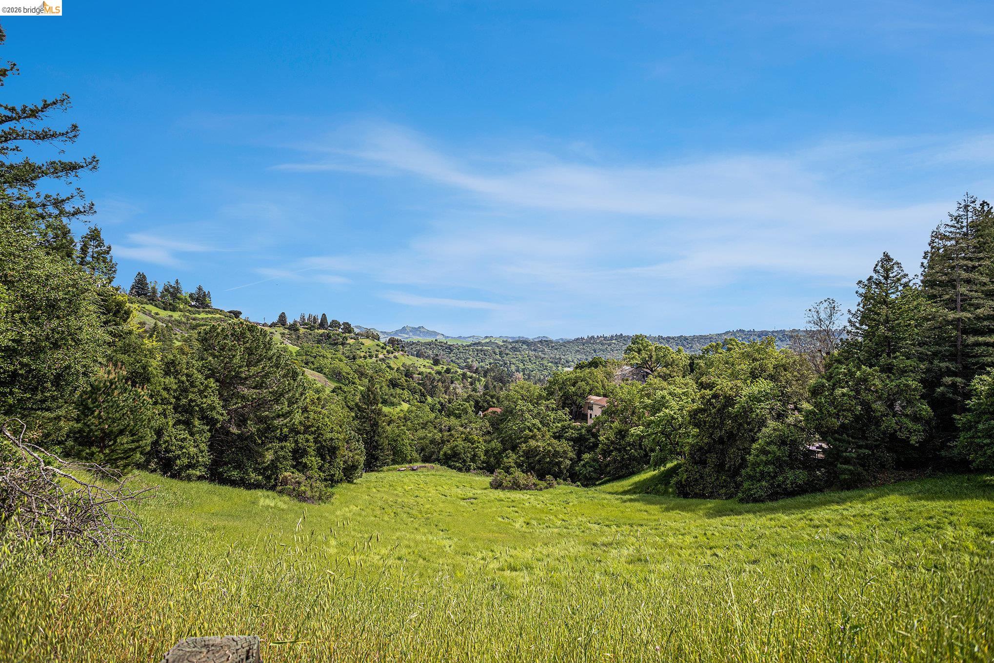 3933 Quail Ridge Road Lafayette, CA 94549 - Photo 9 of 17 a view of a large yard with lots of green space