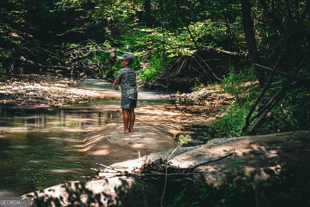 $916,300 | 0 County Line Road, Talbotton, GA 31827