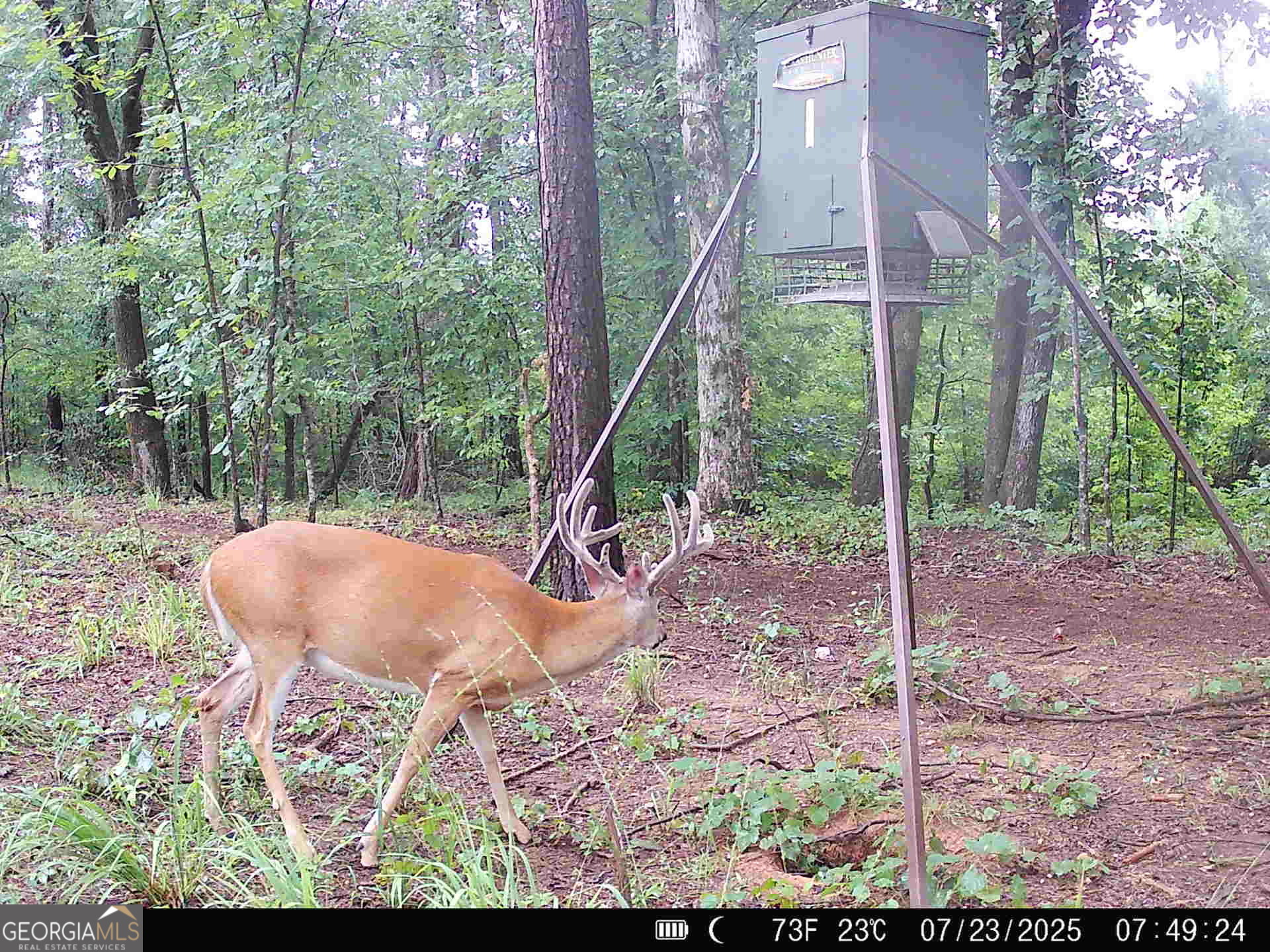 0 County Line Road Talbotton, GA 31827 - Photo 101 of 102