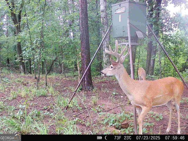 $916,300 | 0 County Line Road, Talbotton, GA 31827