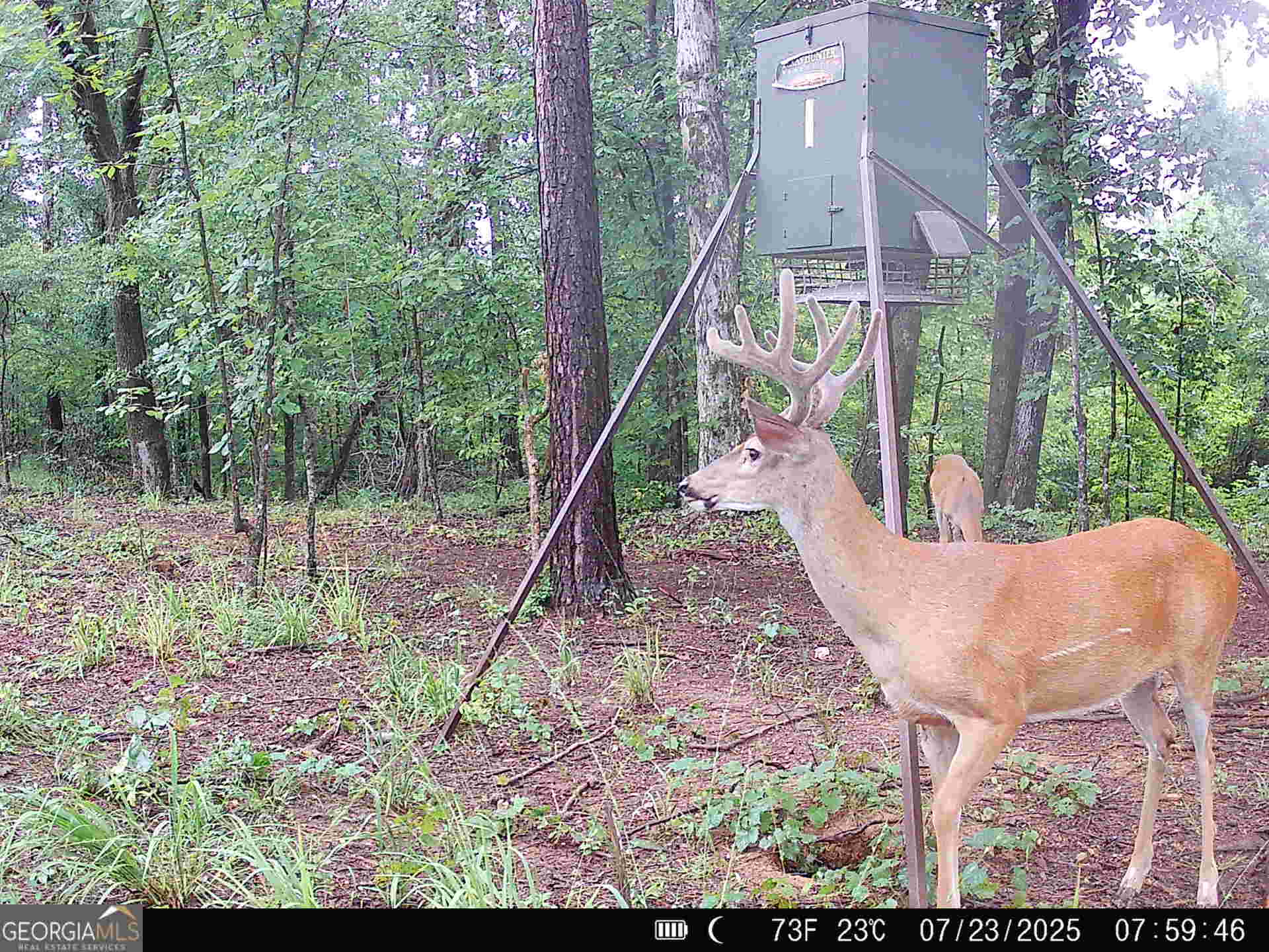 0 County Line Road Talbotton, GA 31827 - Photo 102 of 102