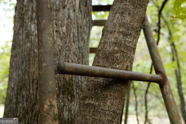 $916,300 | 0 County Line Road, Talbotton, GA 31827