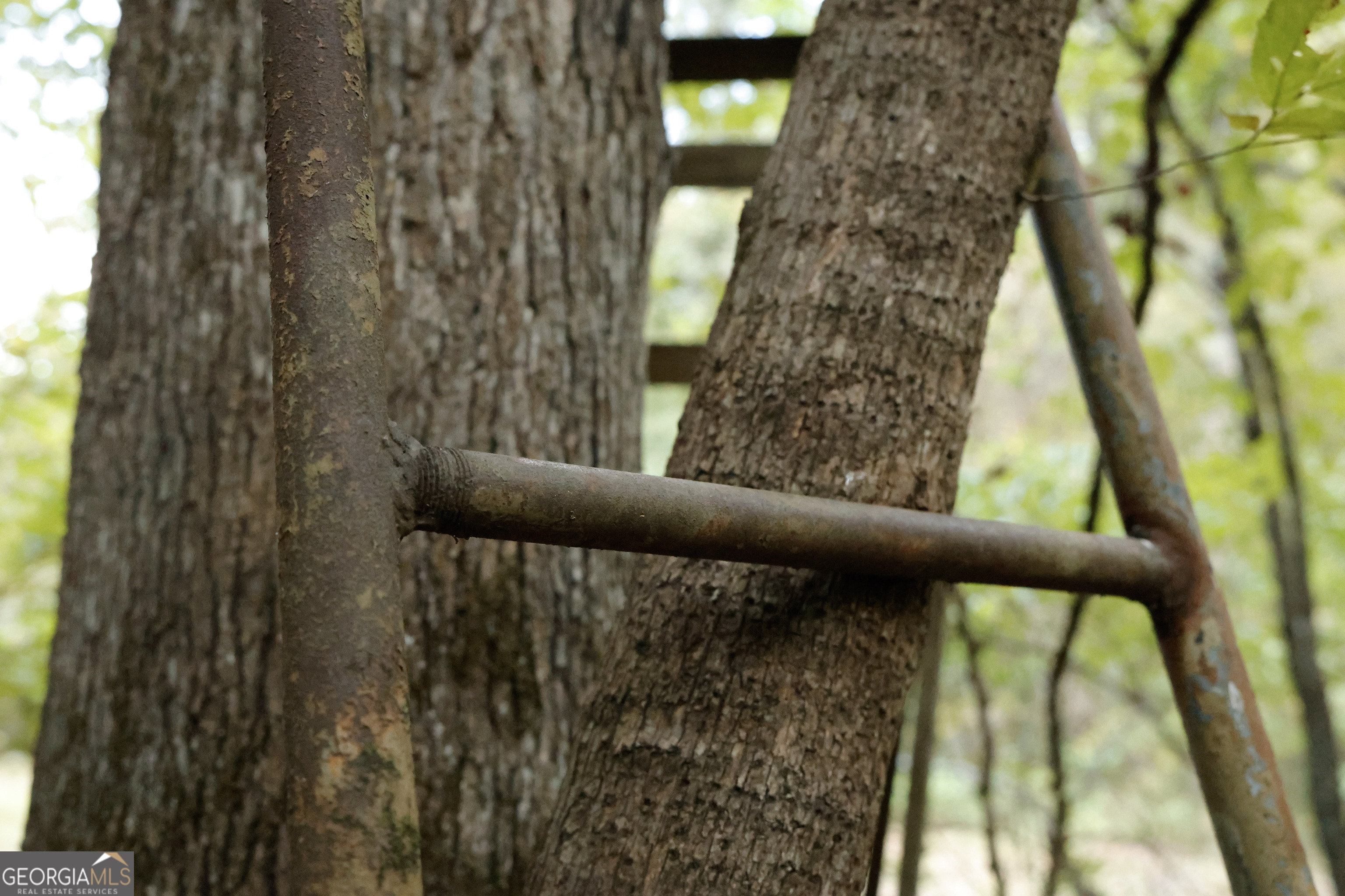 0 County Line Road Talbotton, GA 31827 - Photo 11 of 102