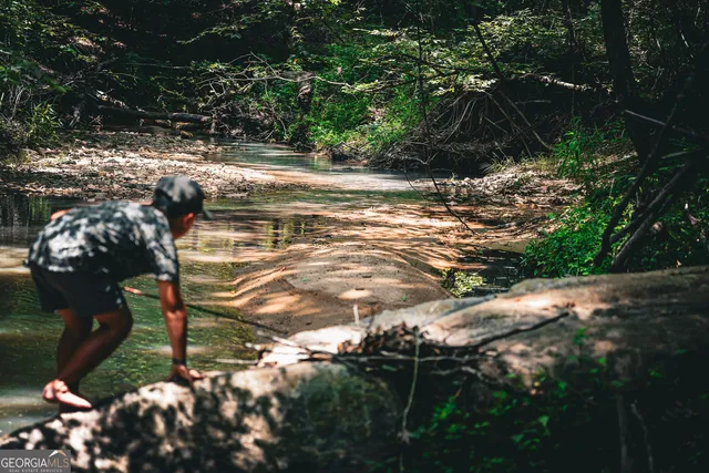 $916,300 | 0 County Line Road, Talbotton, GA 31827