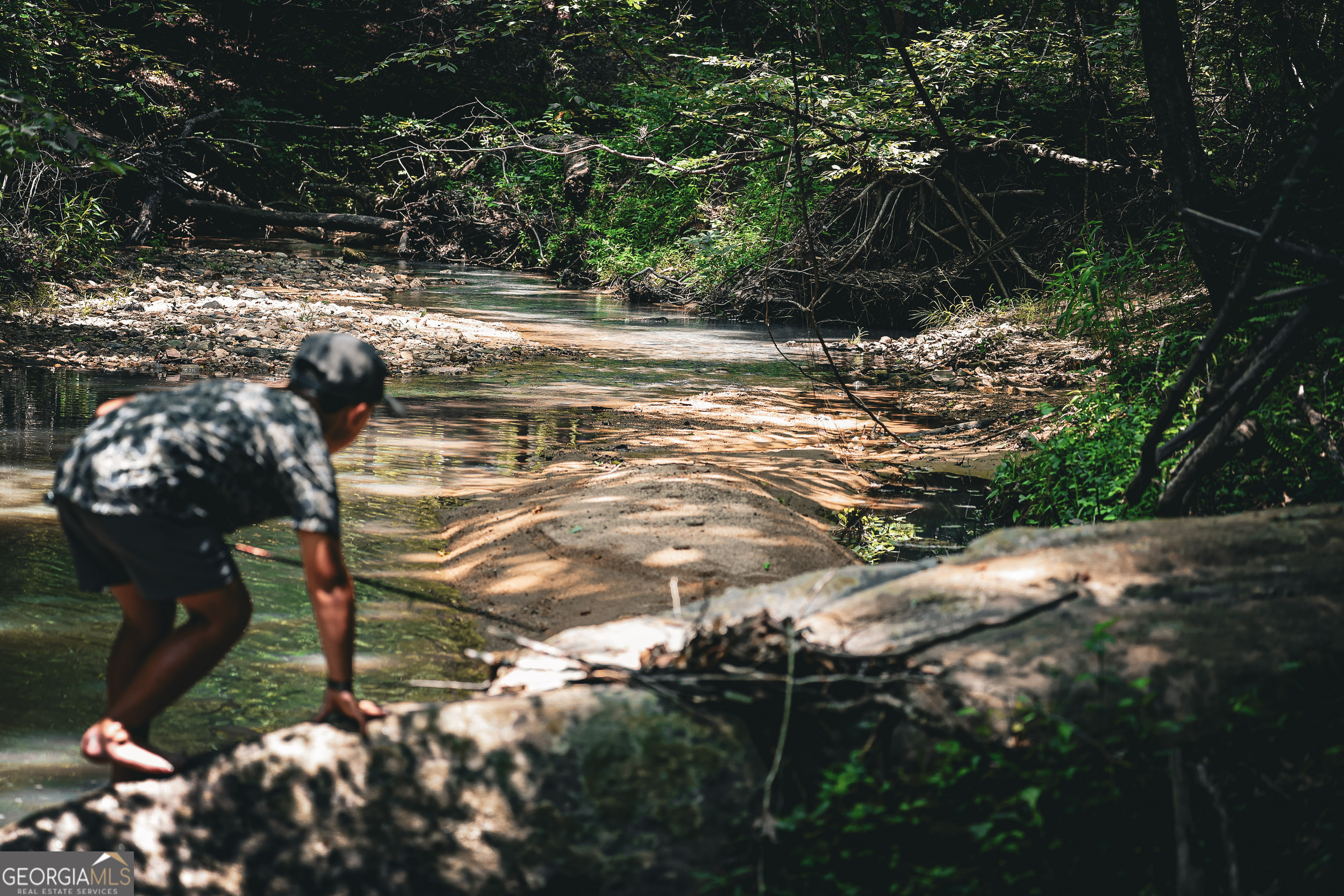 0 County Line Road Talbotton, GA 31827 - Photo 14 of 102