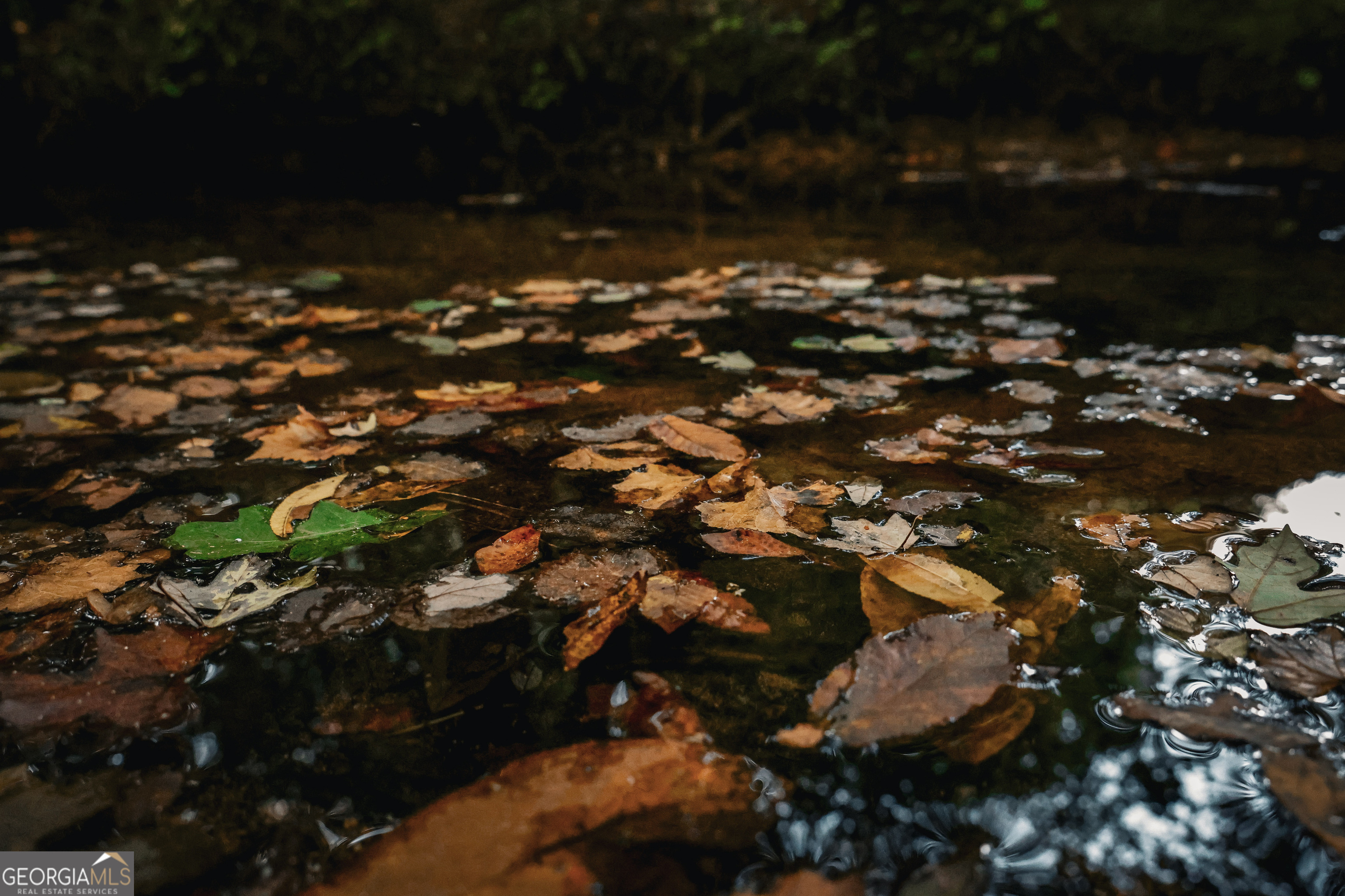 0 County Line Road Talbotton, GA 31827 - Photo 15 of 102