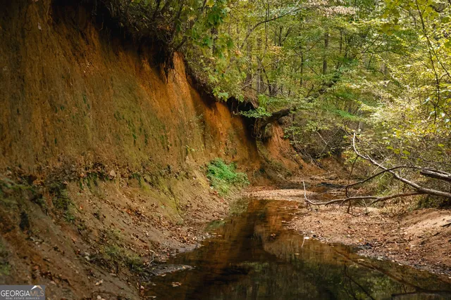 $916,300 | 0 County Line Road, Talbotton, GA 31827