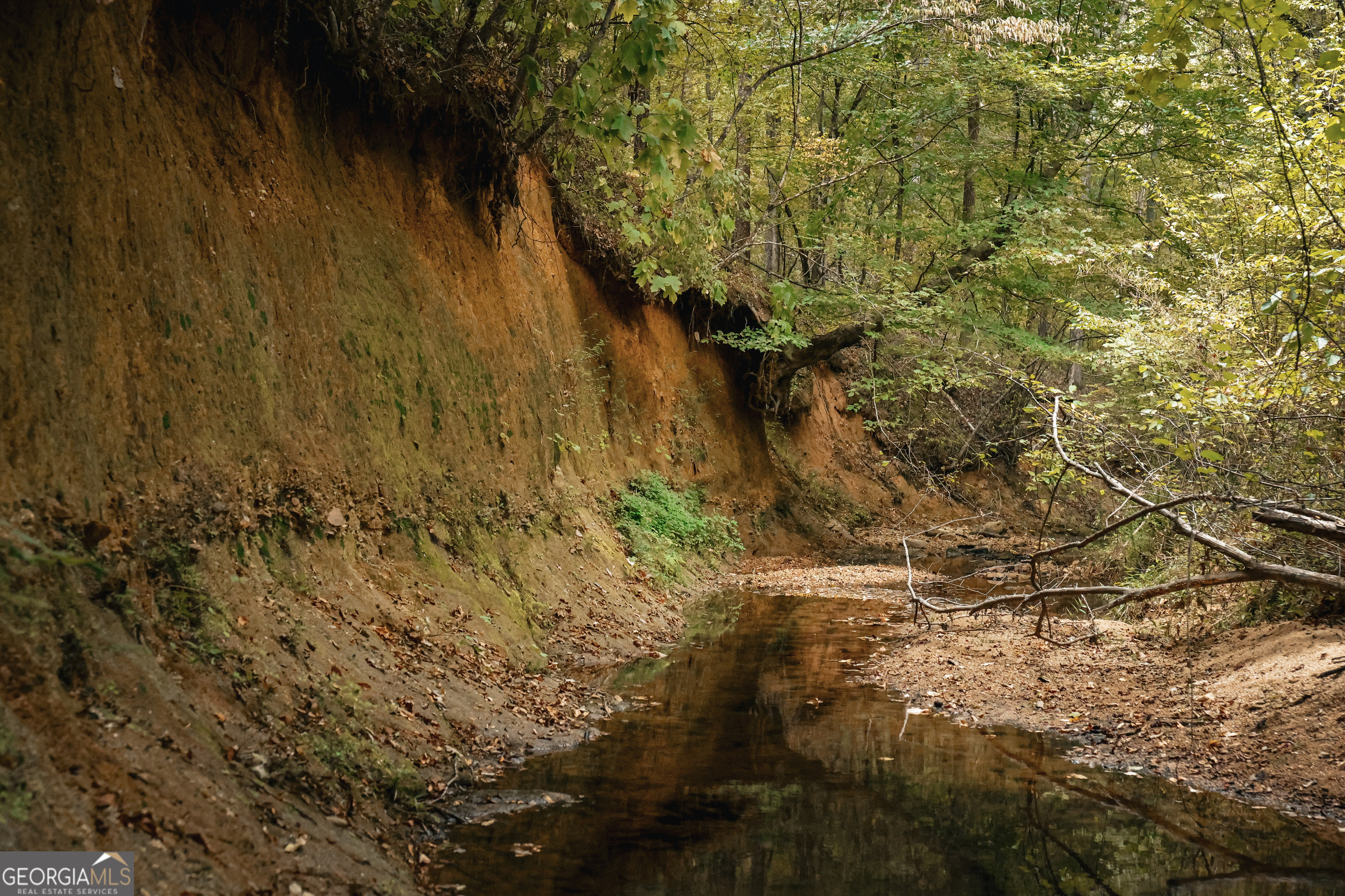 0 County Line Road Talbotton, GA 31827 - Photo 16 of 102