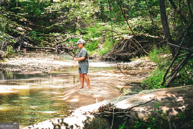 $916,300 | 0 County Line Road, Talbotton, GA 31827