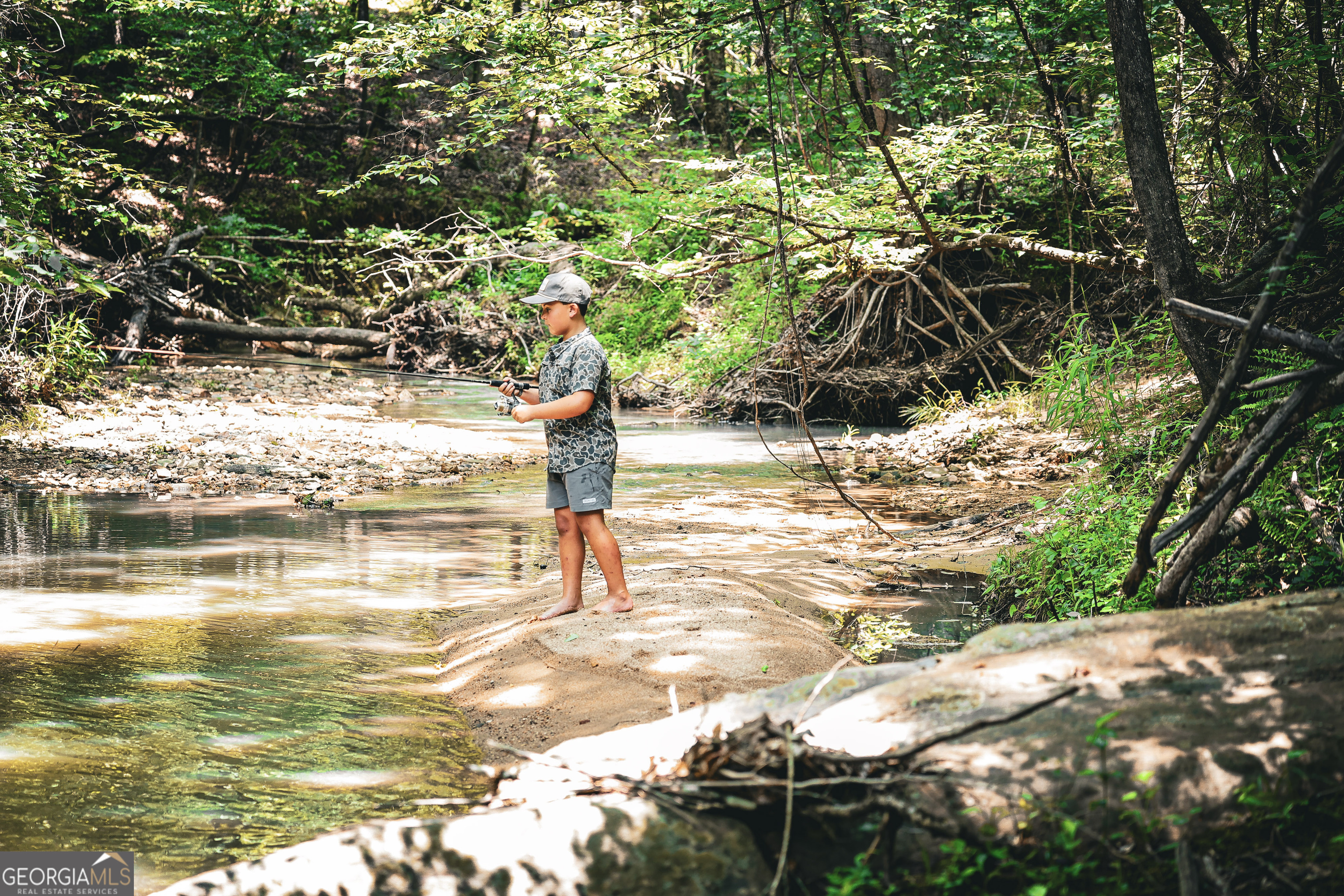 0 County Line Road Talbotton, GA 31827 - Photo 17 of 102