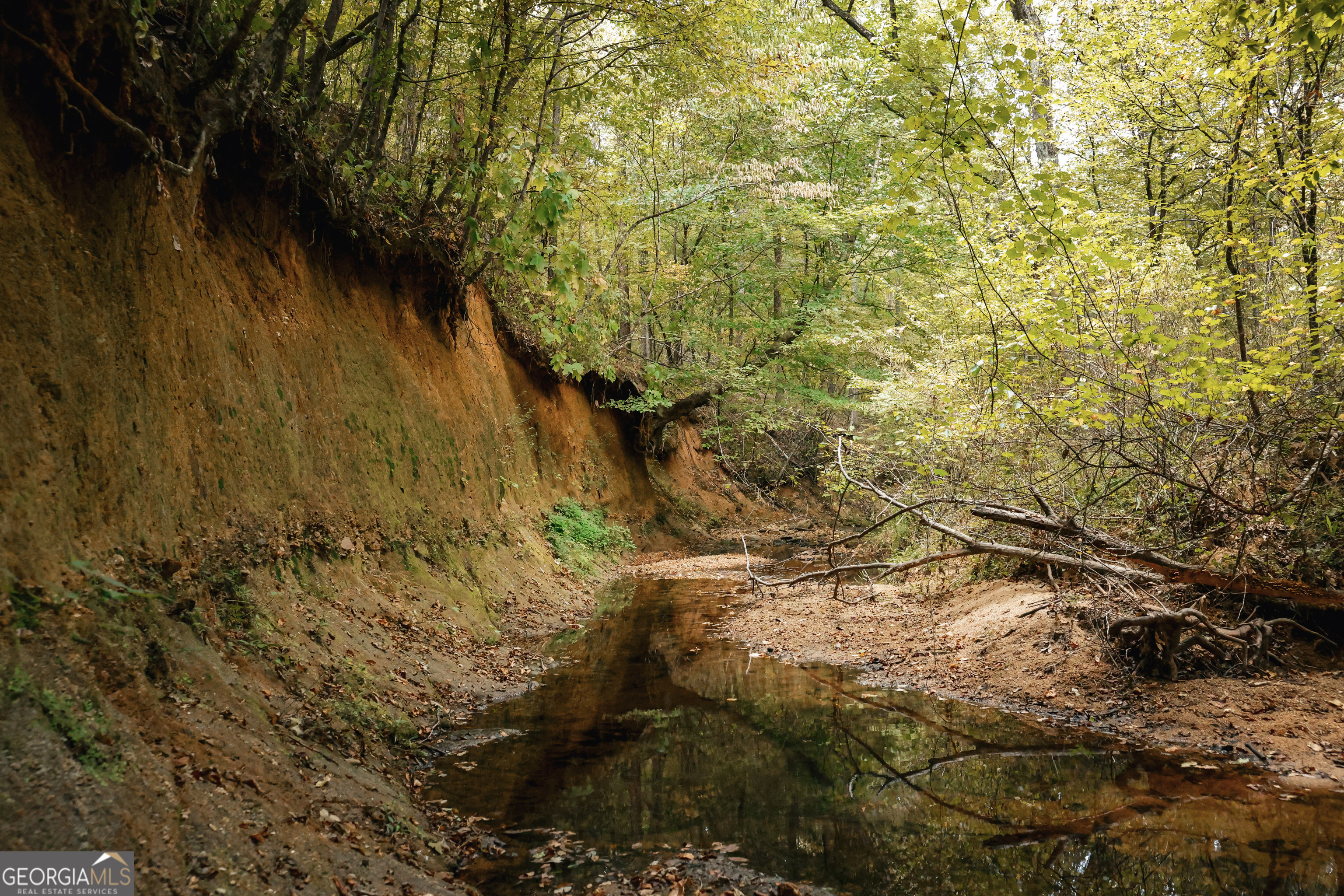 0 County Line Road Talbotton, GA 31827 - Photo 18 of 102