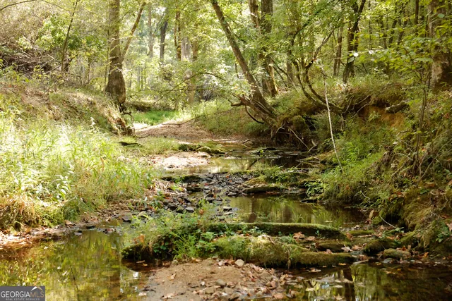 $916,300 | 0 County Line Road, Talbotton, GA 31827