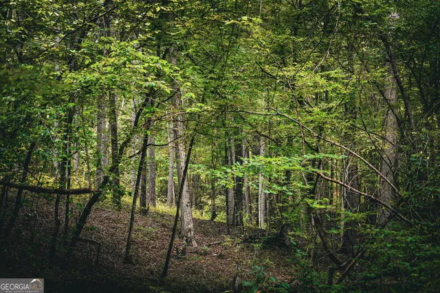 $916,300 | 0 County Line Road, Talbotton, GA 31827