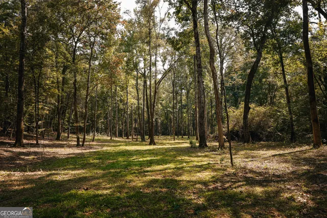 $916,300 | 0 County Line Road, Talbotton, GA 31827