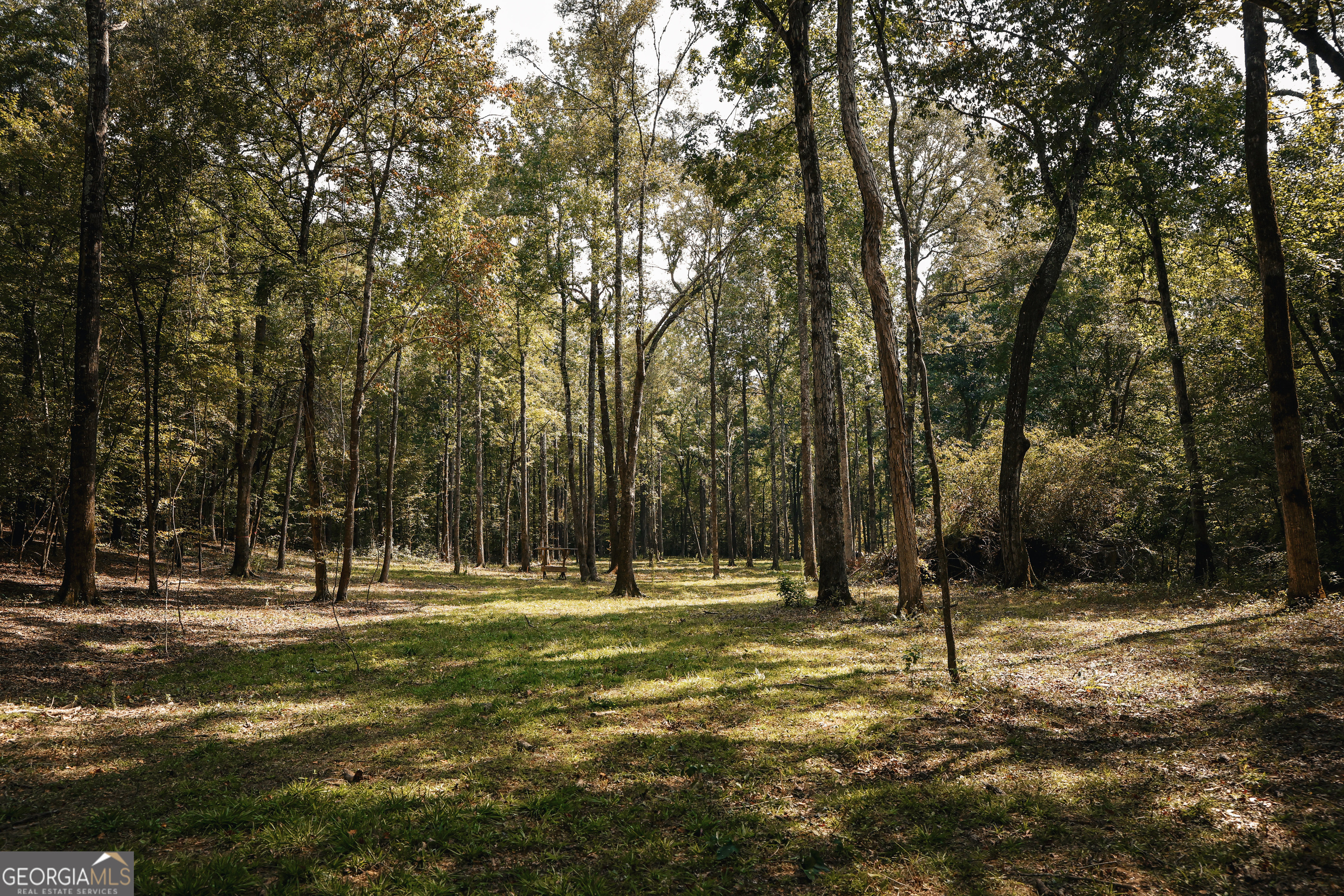 0 County Line Road Talbotton, GA 31827 - Photo 22 of 102
