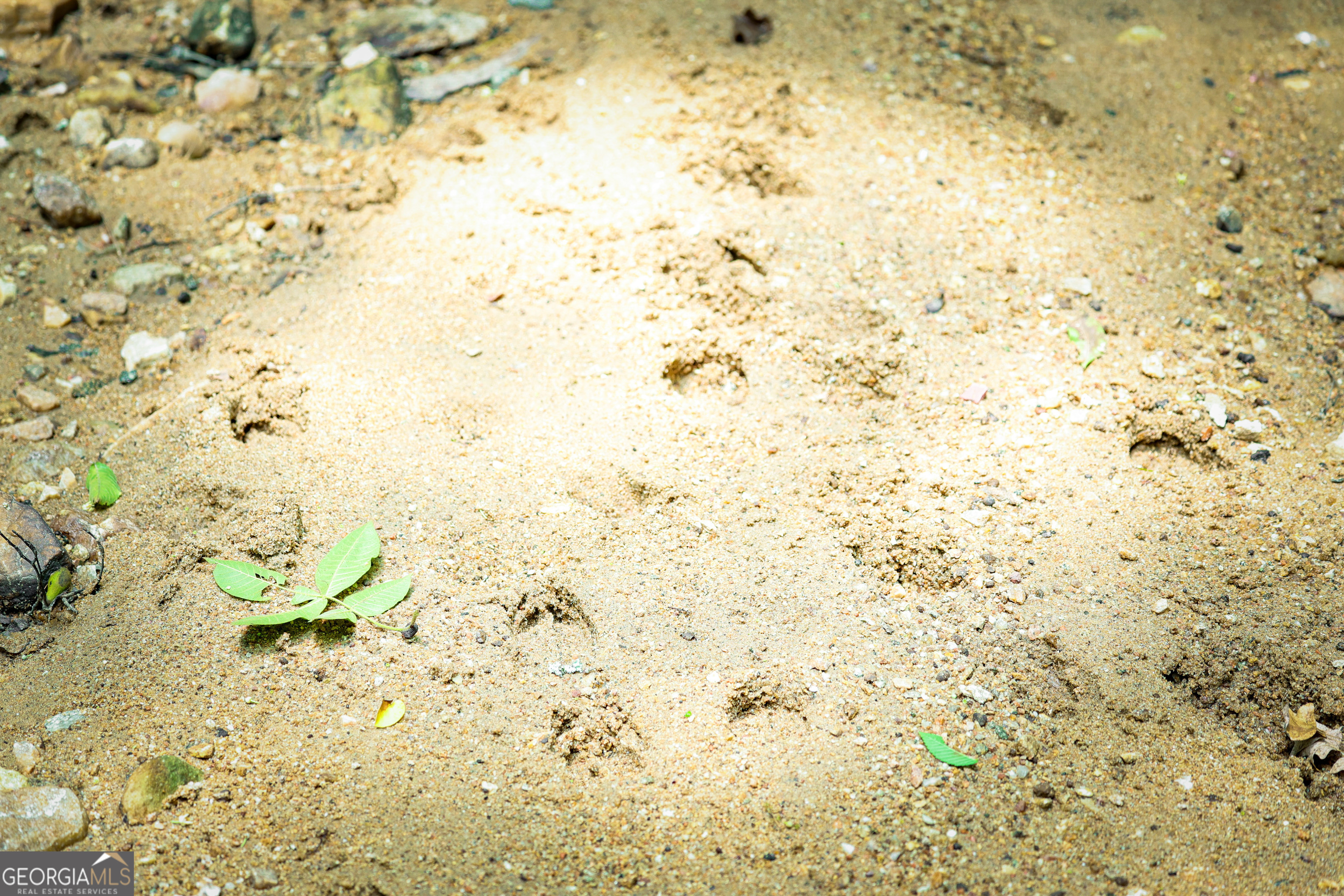 0 County Line Road Talbotton, GA 31827 - Photo 23 of 102