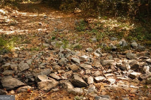 $916,300 | 0 County Line Road, Talbotton, GA 31827