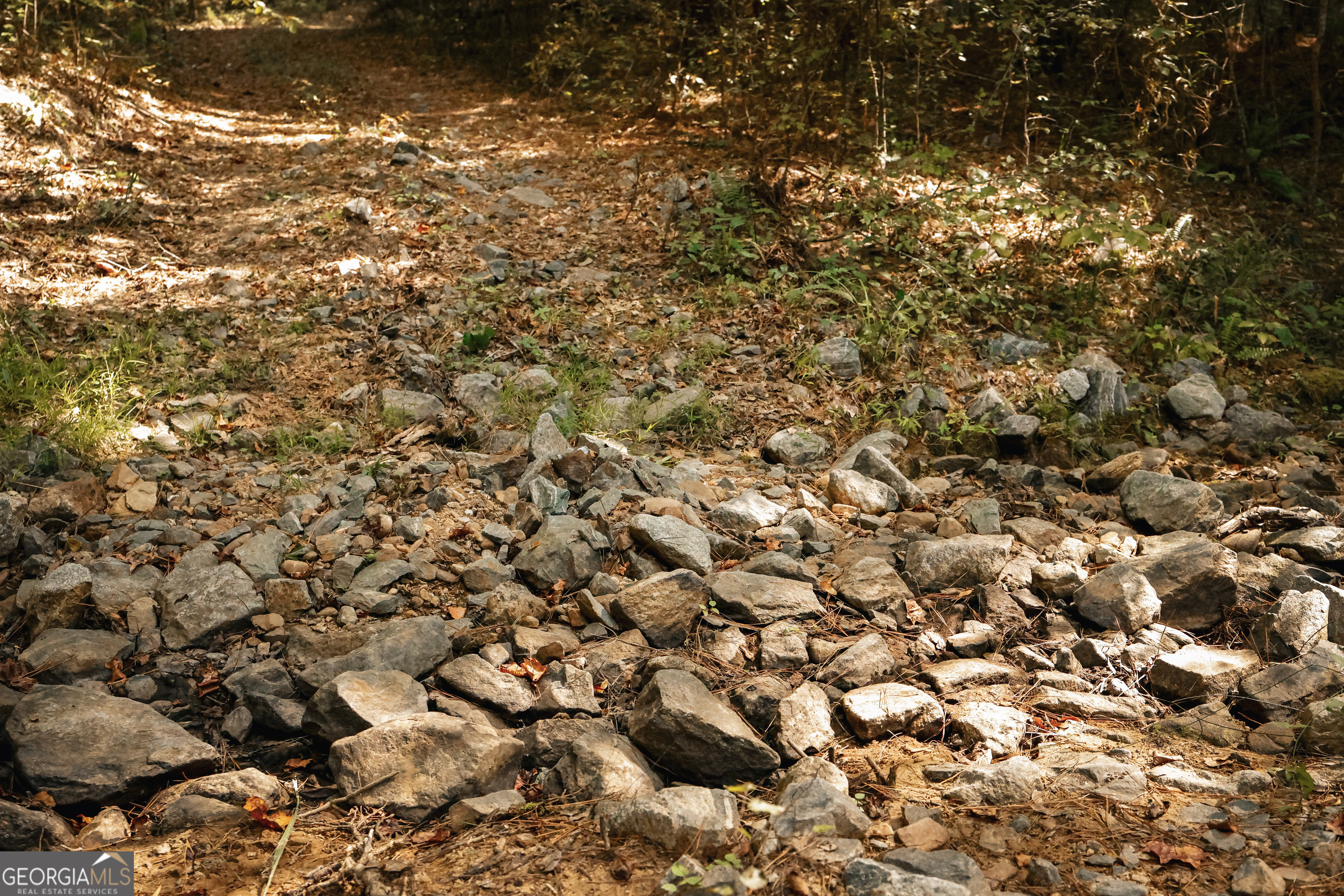 0 County Line Road Talbotton, GA 31827 - Photo 24 of 102