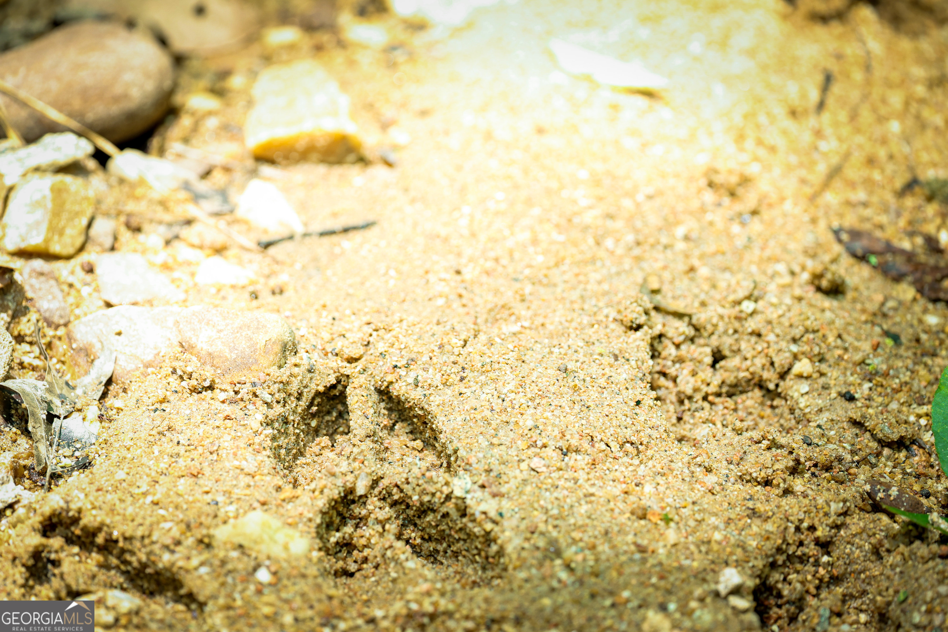 0 County Line Road Talbotton, GA 31827 - Photo 25 of 102