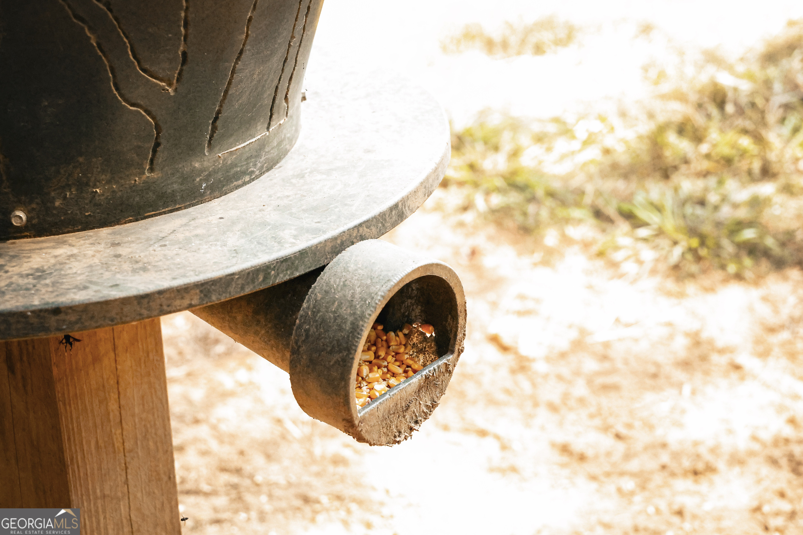 0 County Line Road Talbotton, GA 31827 - Photo 26 of 102