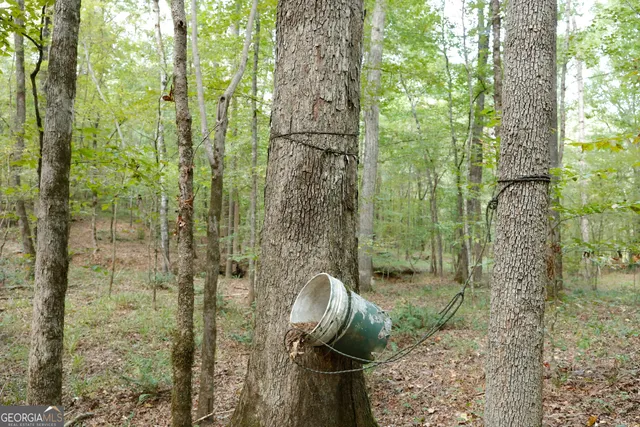 $916,300 | 0 County Line Road, Talbotton, GA 31827