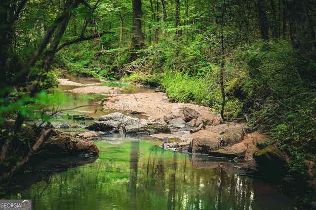 $916,300 | 0 County Line Road, Talbotton, GA 31827