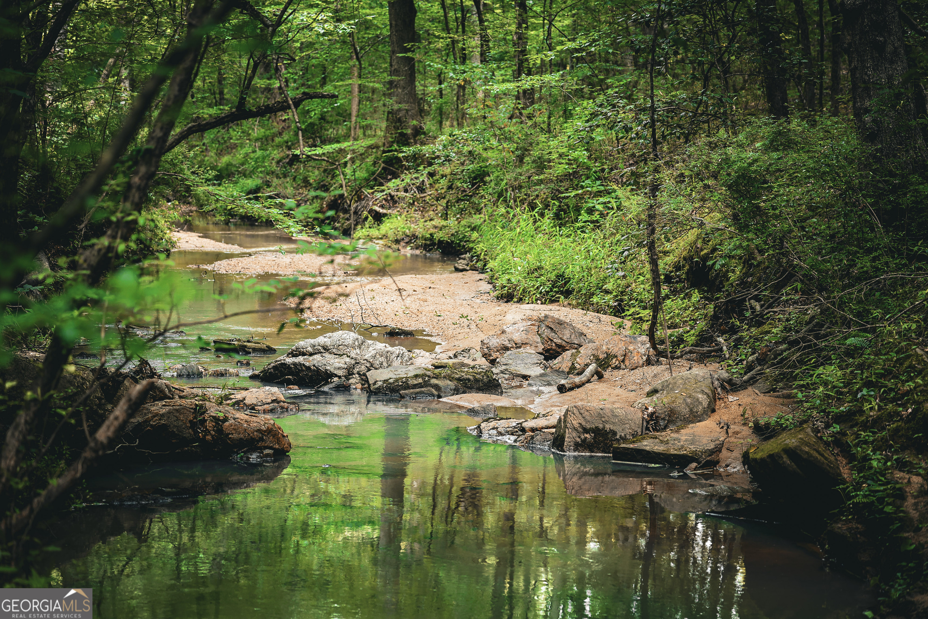 0 County Line Road Talbotton, GA 31827 - Photo 29 of 102