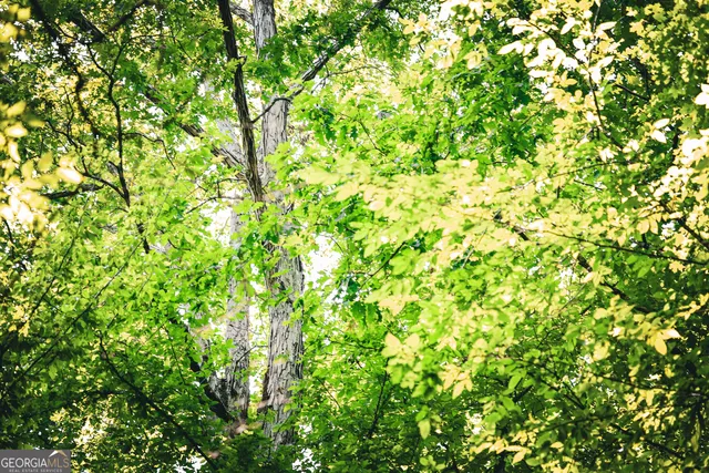 $916,300 | 0 County Line Road, Talbotton, GA 31827