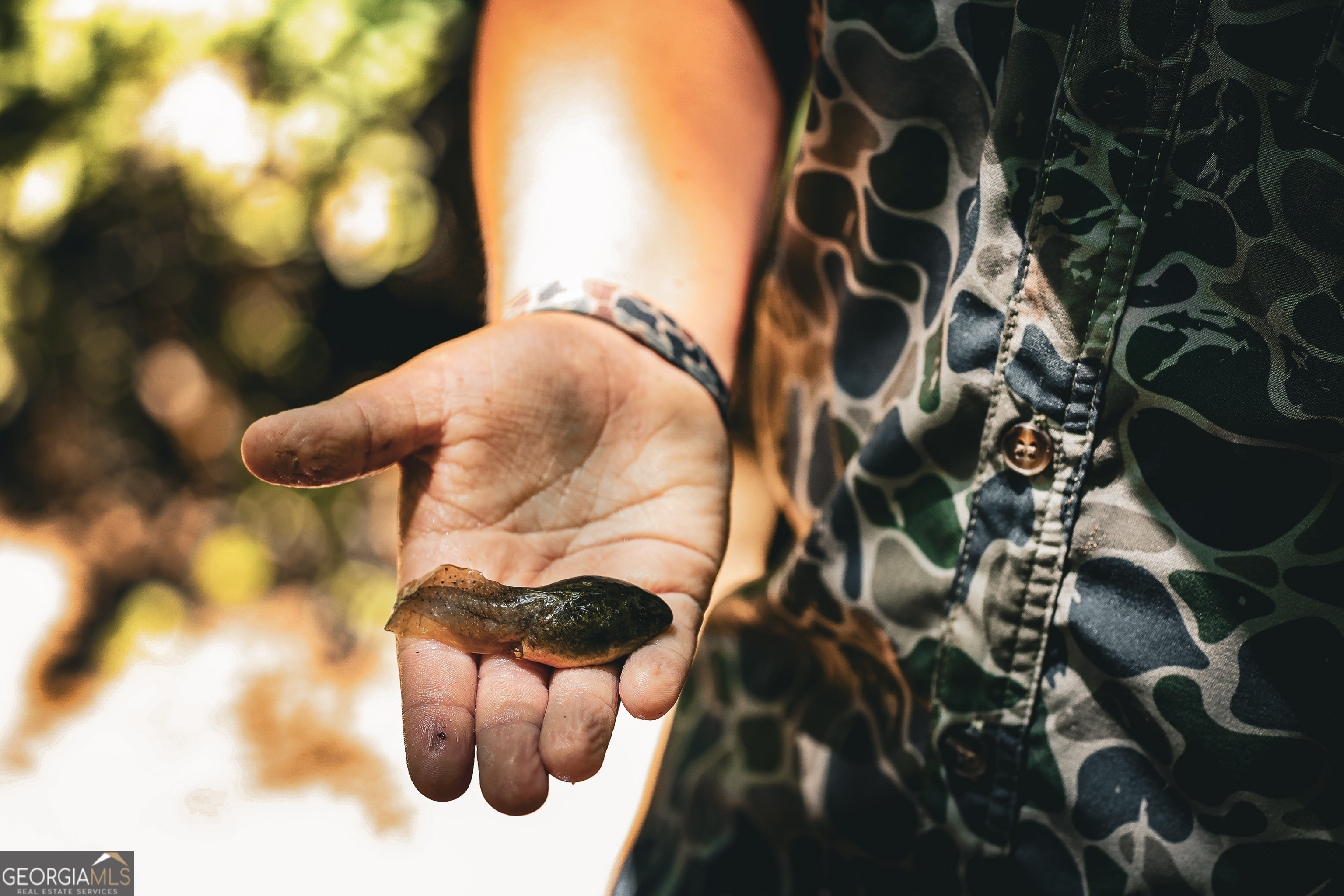 0 County Line Road Talbotton, GA 31827 - Photo 33 of 102