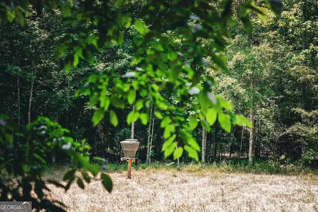 $916,300 | 0 County Line Road, Talbotton, GA 31827