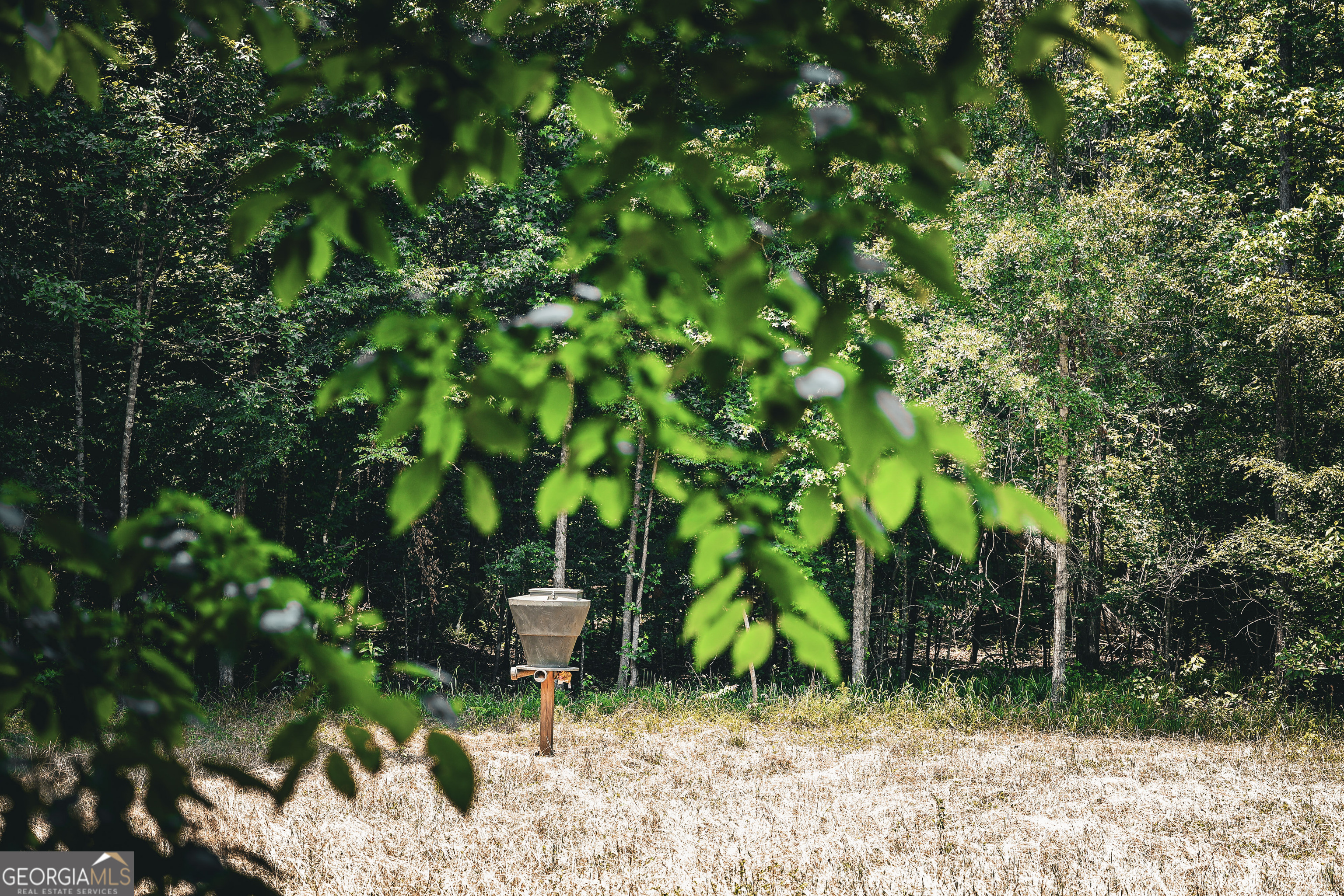 0 County Line Road Talbotton, GA 31827 - Photo 35 of 102