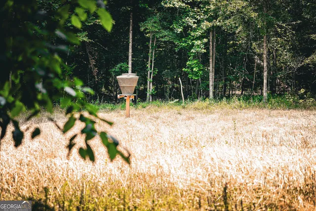 $916,300 | 0 County Line Road, Talbotton, GA 31827