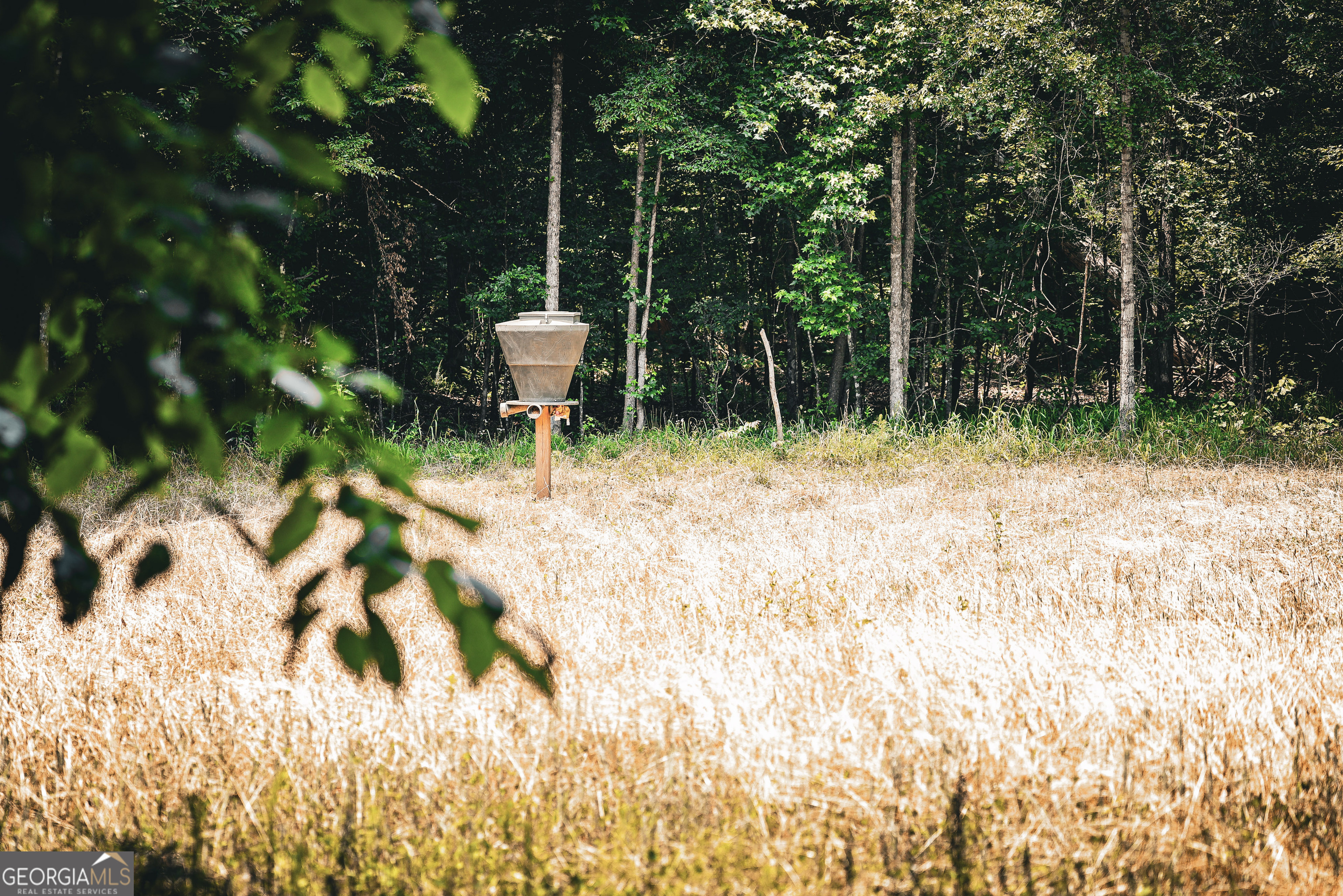 0 County Line Road Talbotton, GA 31827 - Photo 36 of 102