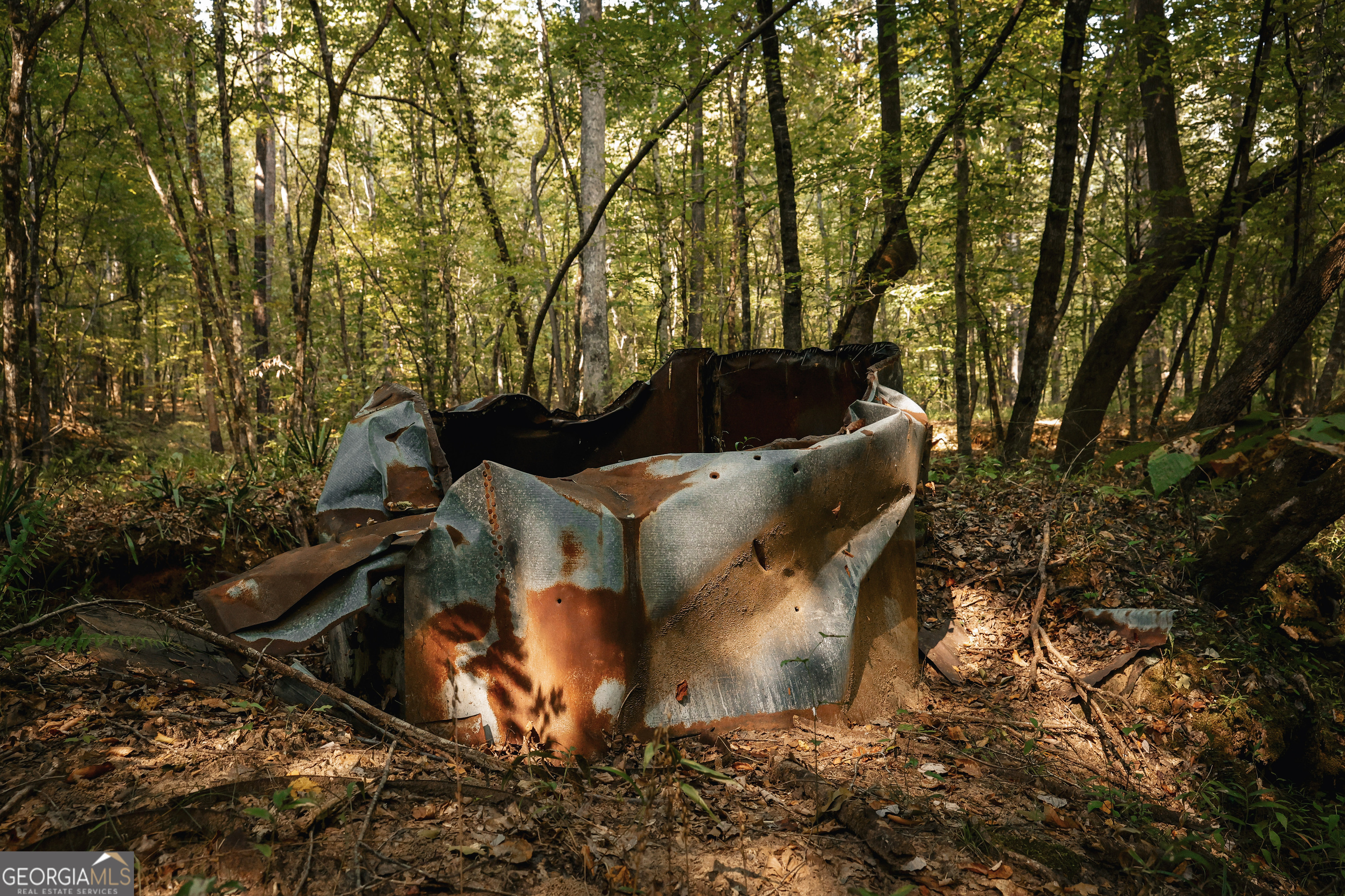 0 County Line Road Talbotton, GA 31827 - Photo 37 of 102