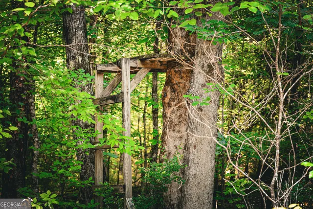 $916,300 | 0 County Line Road, Talbotton, GA 31827