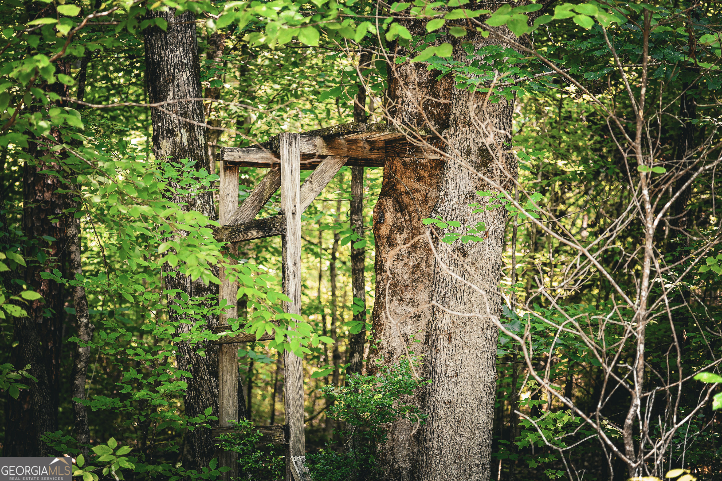 0 County Line Road Talbotton, GA 31827 - Photo 38 of 102