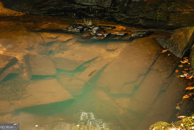 $916,300 | 0 County Line Road, Talbotton, GA 31827