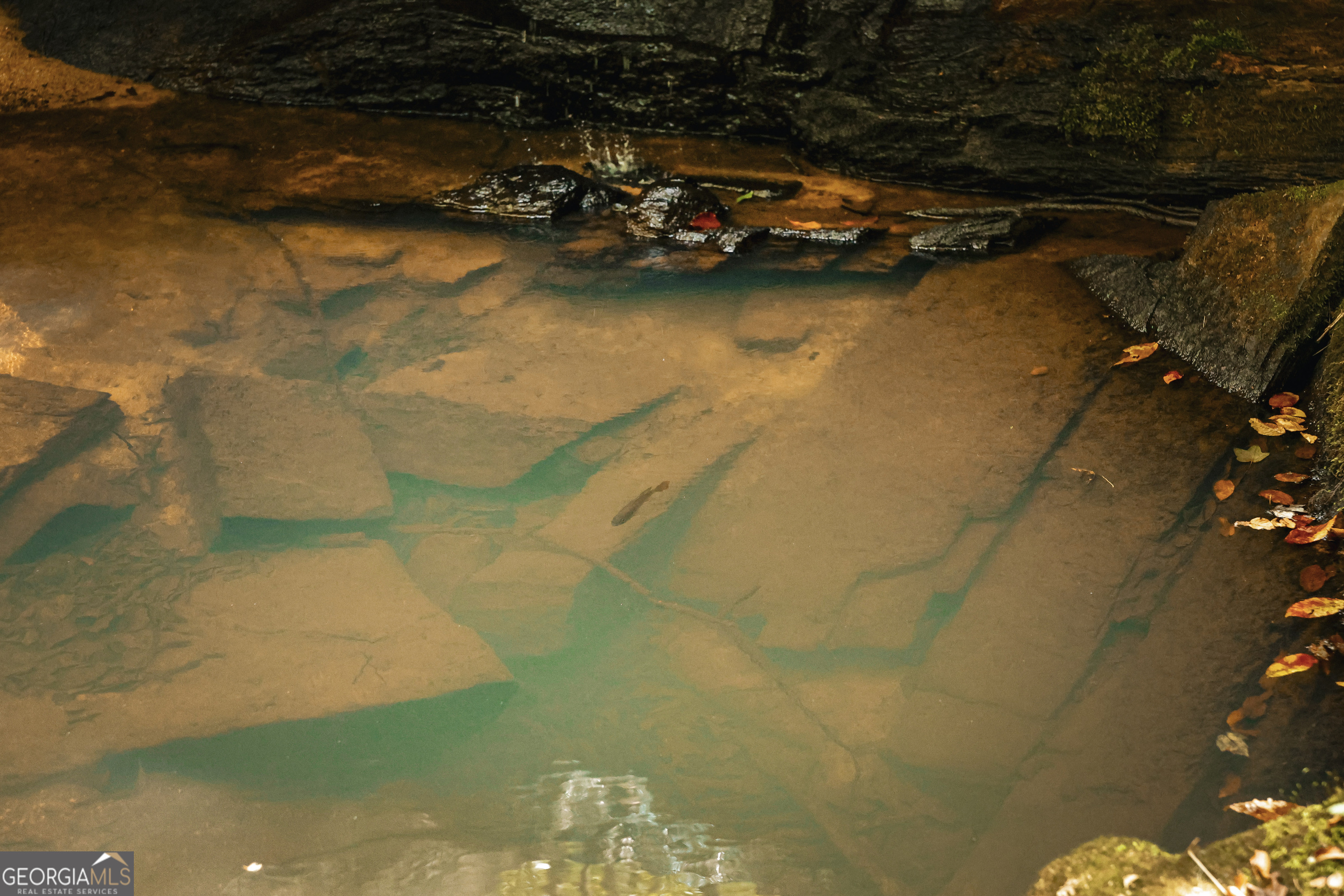 0 County Line Road Talbotton, GA 31827 - Photo 39 of 102