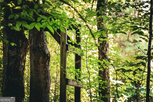 $916,300 | 0 County Line Road, Talbotton, GA 31827