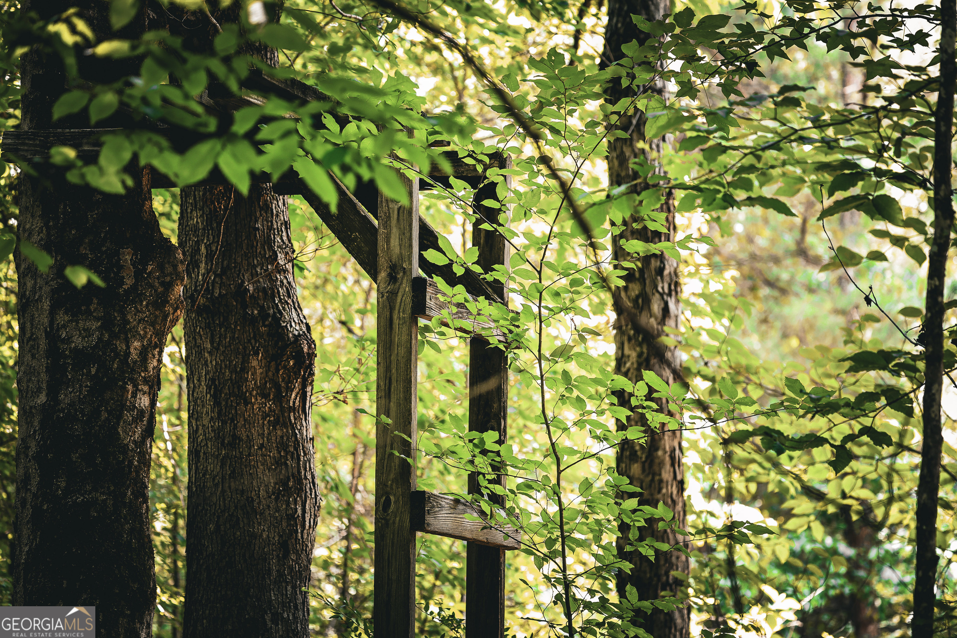 0 County Line Road Talbotton, GA 31827 - Photo 40 of 102