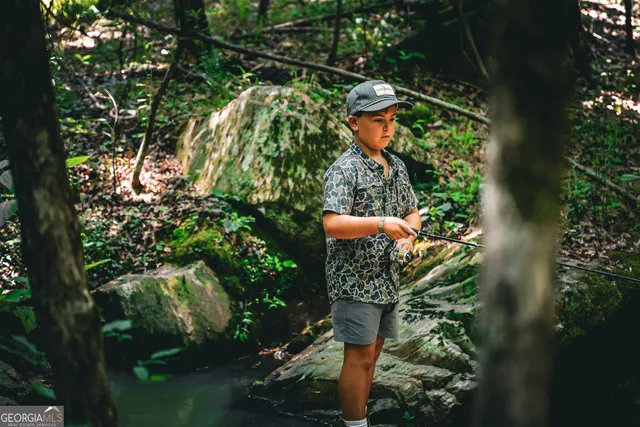 $916,300 | 0 County Line Road, Talbotton, GA 31827