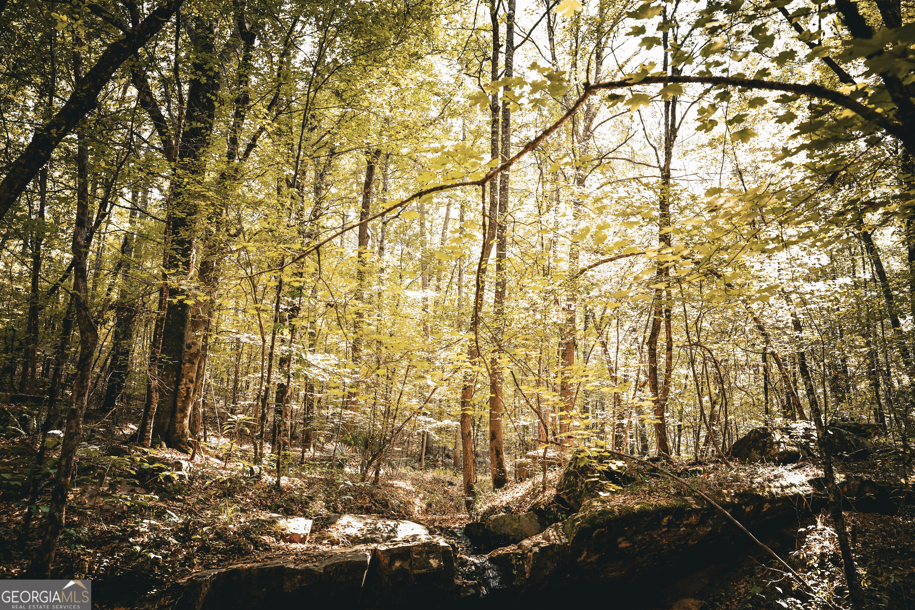 0 County Line Road Talbotton, GA 31827 - Photo 41 of 102