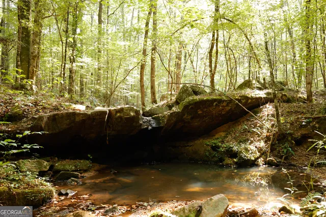 $916,300 | 0 County Line Road, Talbotton, GA 31827