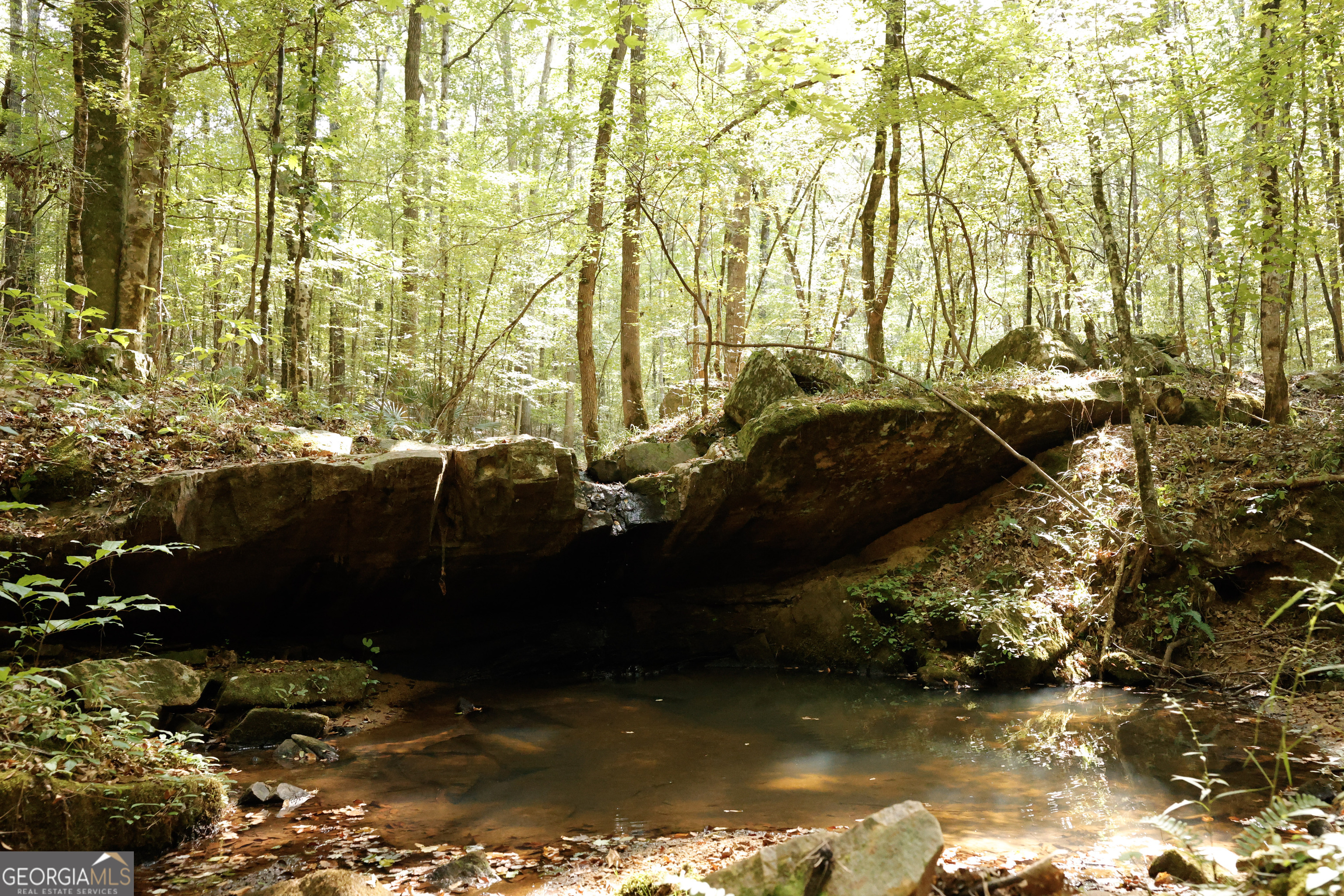 0 County Line Road Talbotton, GA 31827 - Photo 43 of 102