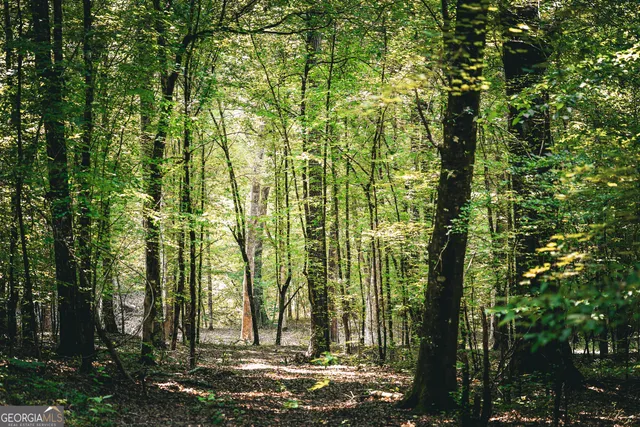 $916,300 | 0 County Line Road, Talbotton, GA 31827