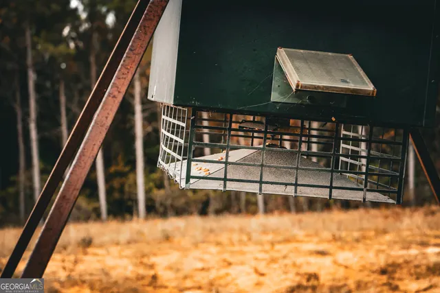 $916,300 | 0 County Line Road, Talbotton, GA 31827