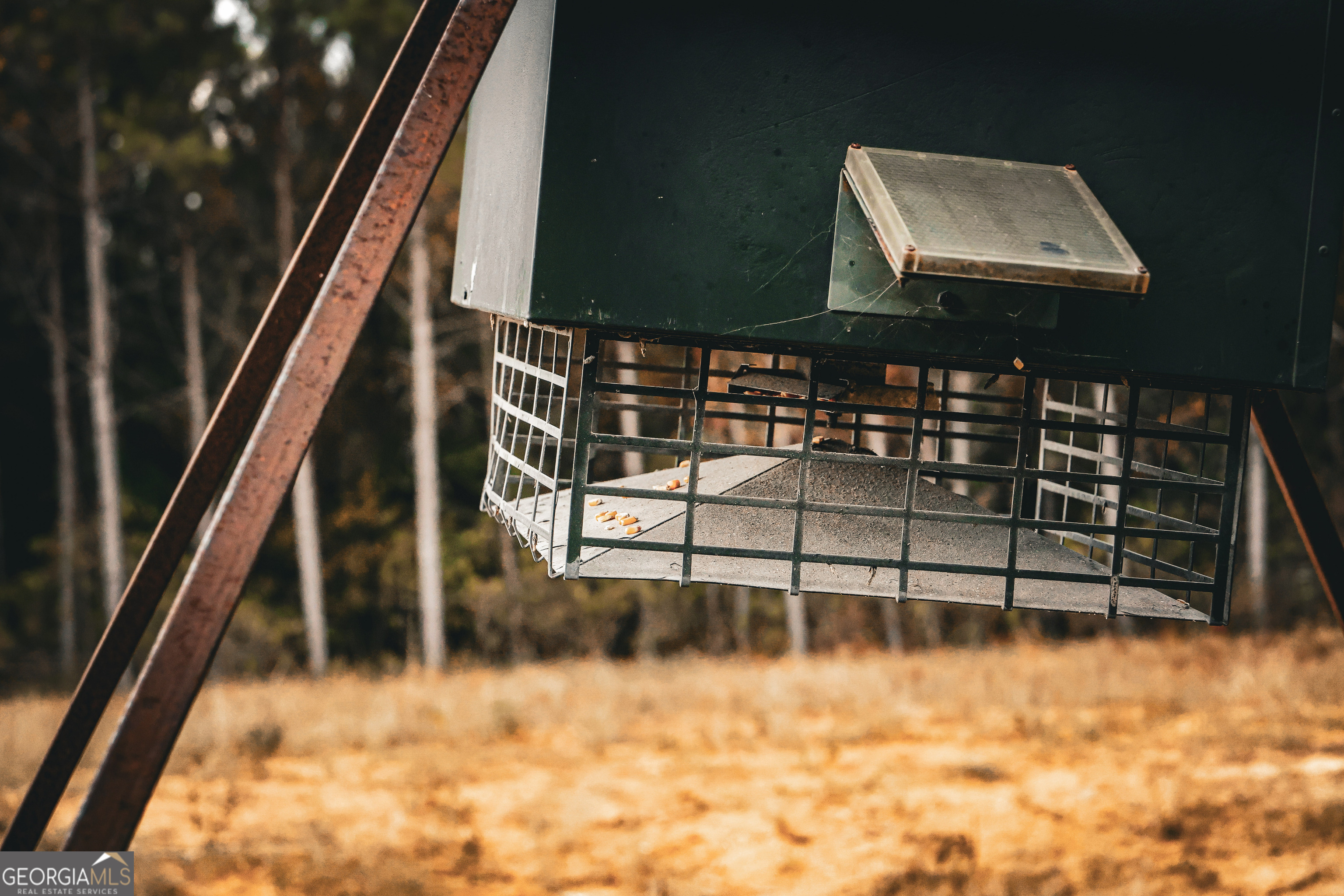 0 County Line Road Talbotton, GA 31827 - Photo 45 of 102