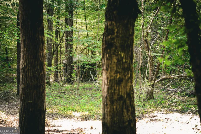 $916,300 | 0 County Line Road, Talbotton, GA 31827