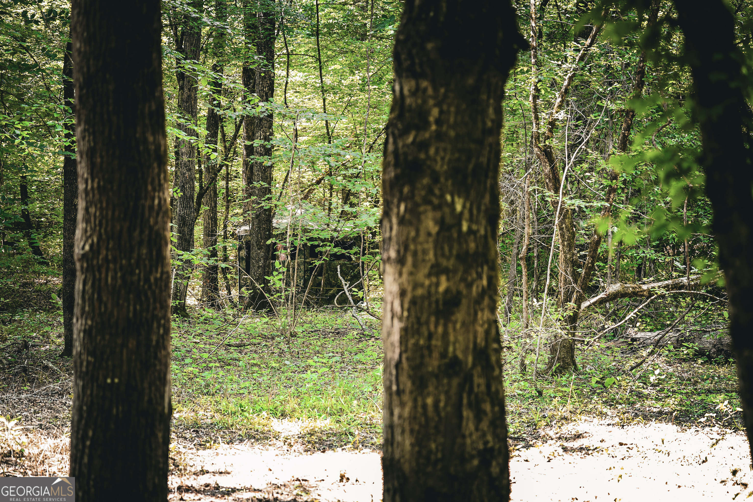 0 County Line Road Talbotton, GA 31827 - Photo 46 of 102