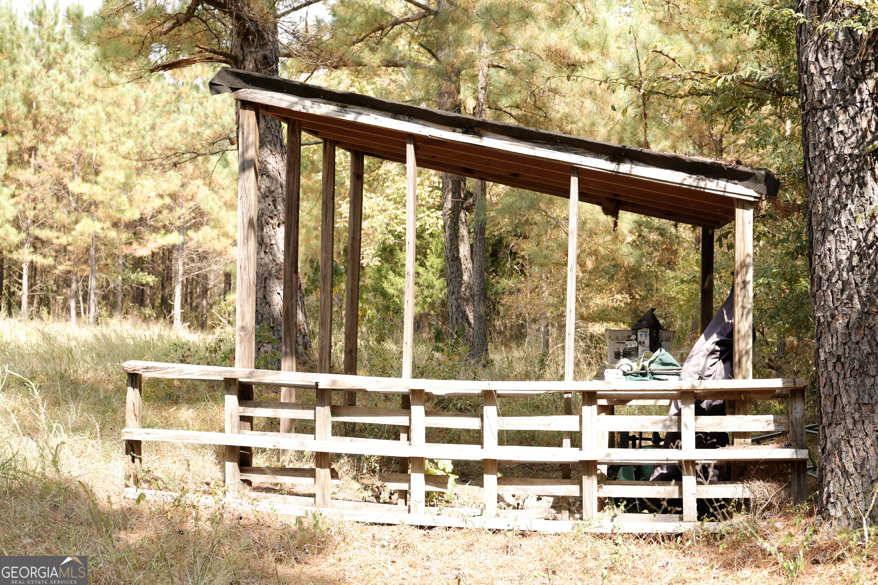 0 County Line Road Talbotton, GA 31827 - Photo 47 of 102